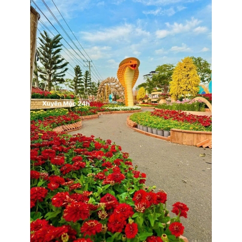 Thi công lắp đặt mô hình trang trí Tết trọn gói